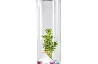 Mini Aquarium
