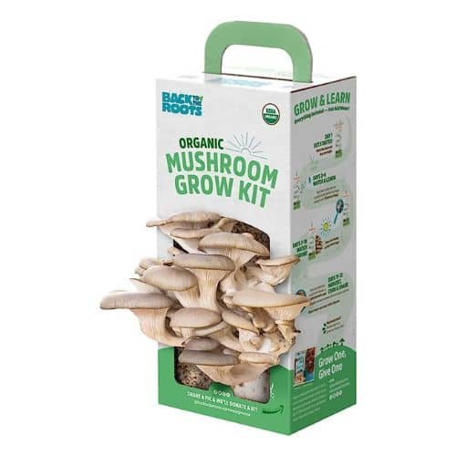Mushroom Harvest Gourmet kit