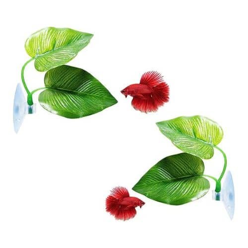 Natural, Organic, Comfortable Rest Area for Fish Aquarium