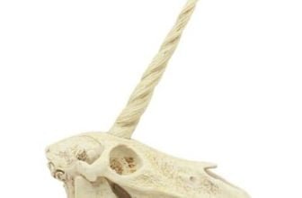 Unicorn Skull Statue