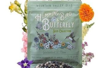 Wildflower Seeds