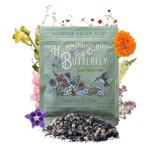 Wildflower Seeds