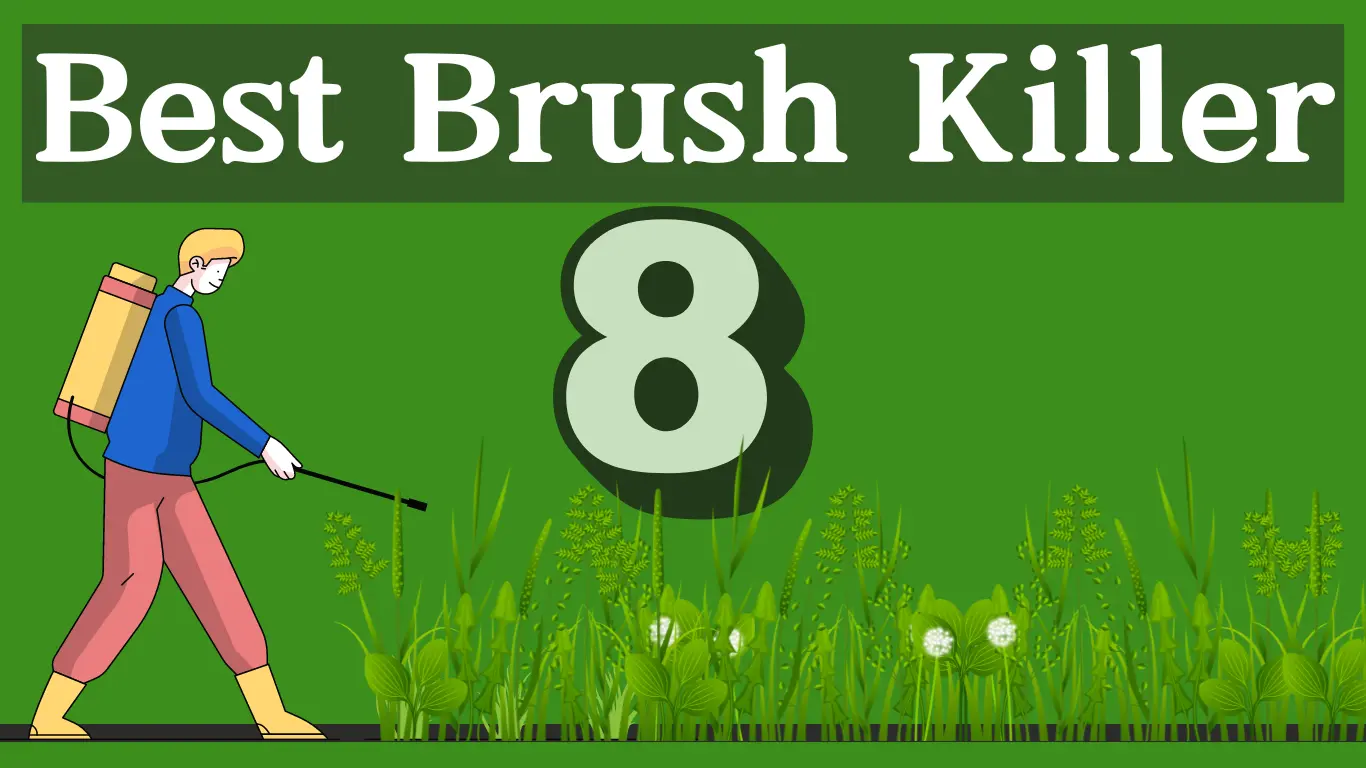 Best Brush Killer
